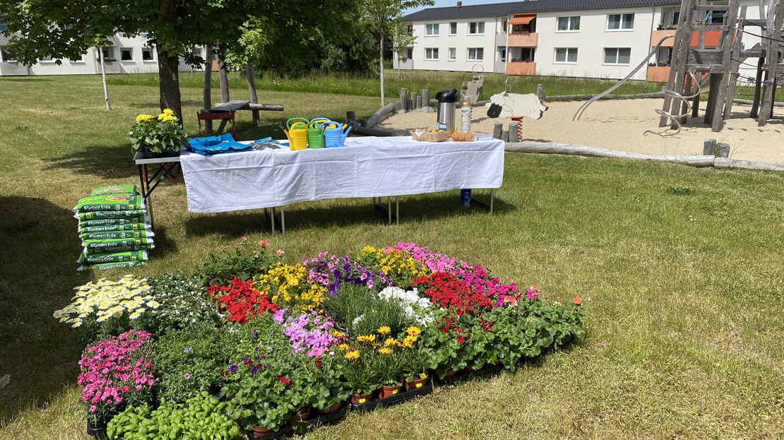Neue Blümchen für Kanzlerfeld