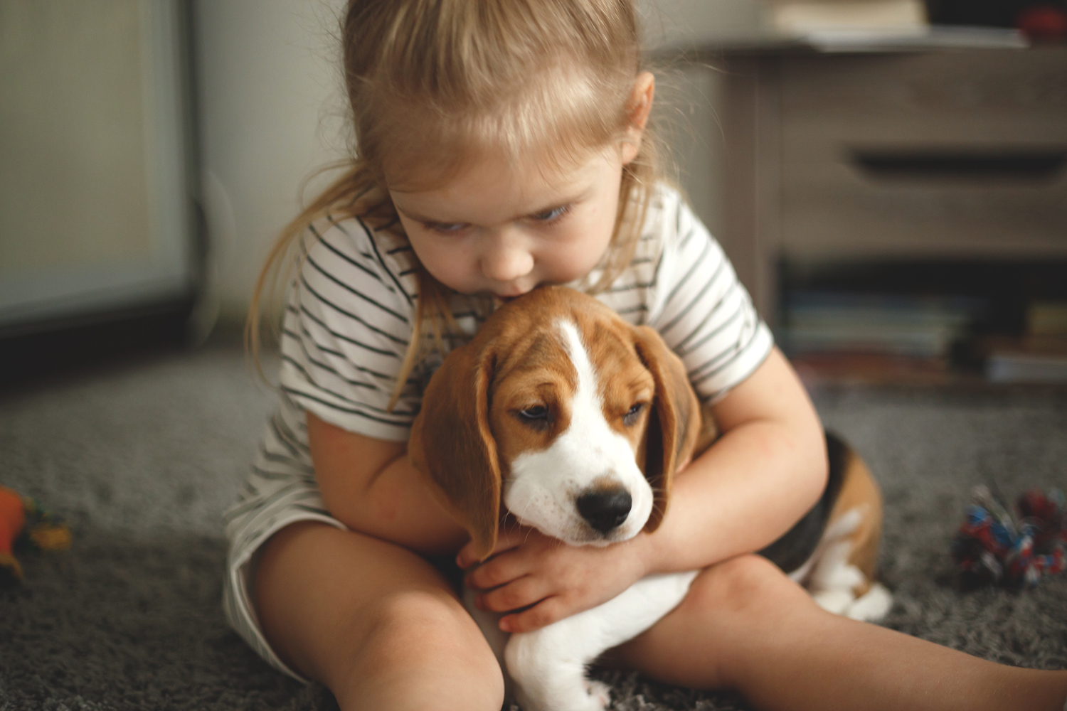 Ein Kind hält einen Hund in ihren Armen. Ein Kind hält einen Hund in ihren Armen.