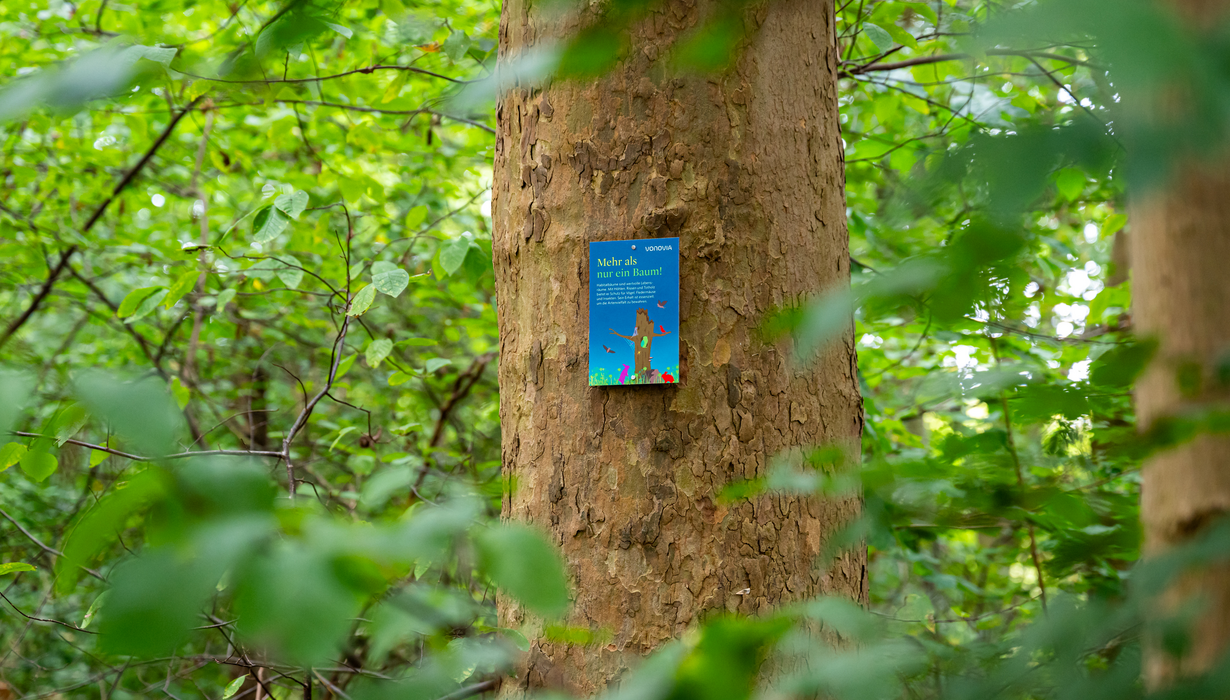 Ein blaues Infoschild mit der Aufschrift „Mehr als nur ein Baum!“ und dem Vonovia-Logo ist an einem Baumstamm mitten in einem grünen Wald angebracht.