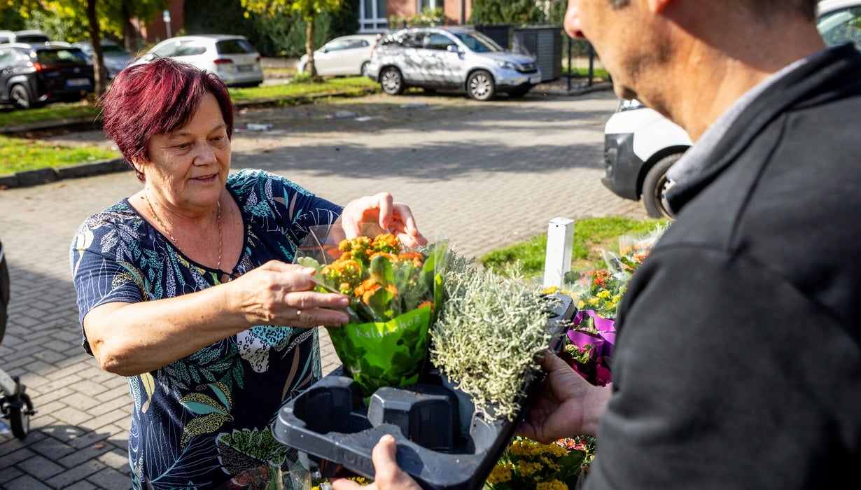 Eine ältere Frau nimmt im Freien erfreut eine Topfpflanze entgegen, die ihr von einem Mann aus einer Pflanzpalette gereicht wird.