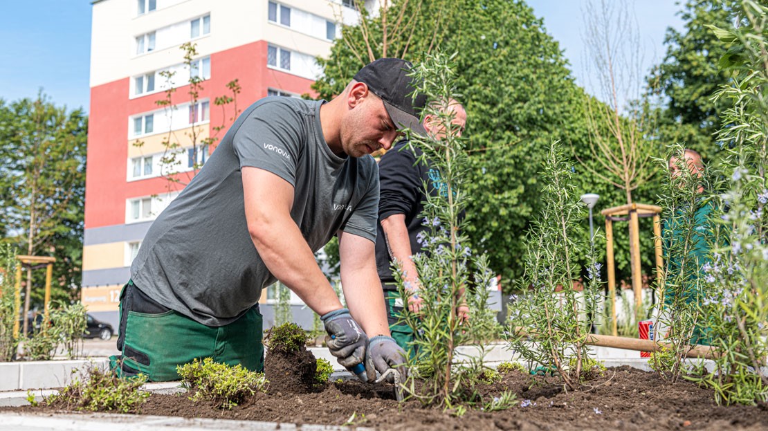 Editorial-Gallery-Pflanzaktion-03.jpg