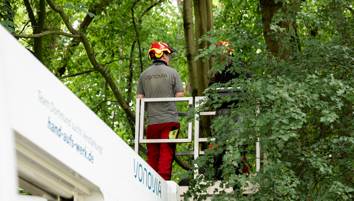 Zwei Waldarbeiter in Schutzkleidung und Schutzhelmen stehen im Arbeitskorb einer Hubarbeitsbühne mit Vonovia-Beschriftung, um Pflegearbeiten an hohen Baumbeständen durchzuführen.
