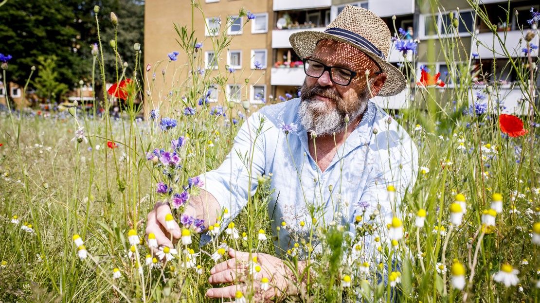 Editorial-Gallery-Wildblumenwiesen-Hannover-02.jpg